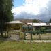 Campus Patagonia UACh realiza proyecto de vinculación en la Escuela Pablo Neruda de Villa Ortega