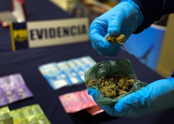 Casi 16 mil dosis de droga fuera de circulación en Aysén gracias al trabajo en investigaciones especializadas sobre microtráfico