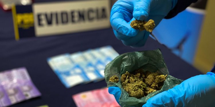 Casi 16 mil dosis de droga fuera de circulación en Aysén gracias al trabajo en investigaciones especializadas sobre microtráfico
