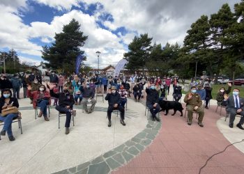 Coyhaique es la primera comuna de Aysén en contar con la aplicación de seguridad comunitaria «SOSAFE»