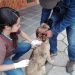Enseñarán en Puerto Guadal sobre los primeros cuidados de las mascotas en taller de tenencia responsable