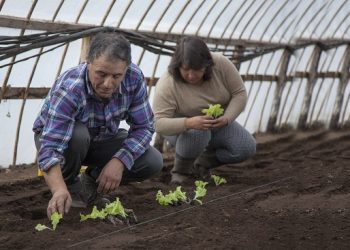 Pobreza rural y experiencias ejemplares para su superación en Chile y América Latina abordó seminario INDAP-FAO