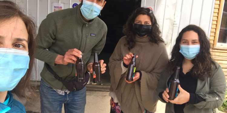 Proyecto colaborativo de economía circular busca reutilizar botellas de vidrio en Aysén