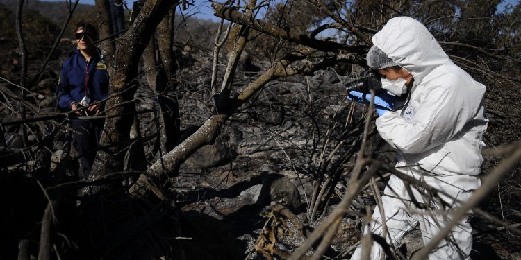 PDI alerta sobre incendios forestales en temporada estival