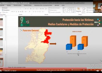Con éxito se realizó Seminario Virtual «Género y Violencia Extrema en la región de Aysén»