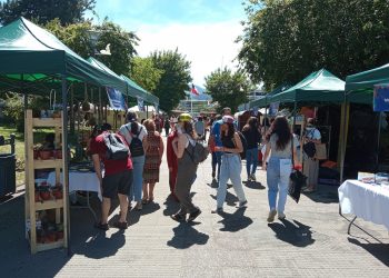 SernamEG y emprendedoras realizan positivo balance de la Expo Feria Navideña