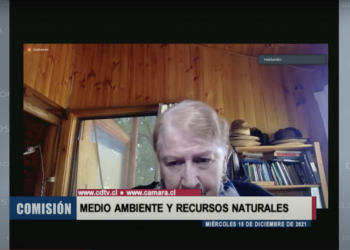 Chile Sustentable expone ante la Cámara de Diputados su visión sobre Ley Marco de Cambio Climático