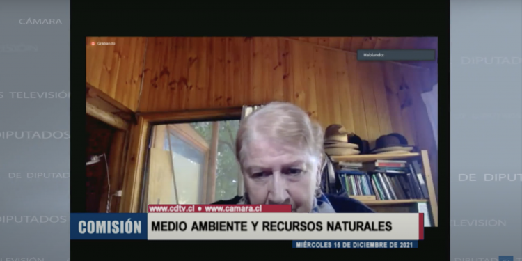 Chile Sustentable expone ante la Cámara de Diputados su visión sobre Ley Marco de Cambio Climático