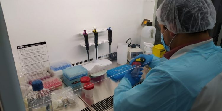 Laboratorio de Biología Molecular del Hospital Regional Coyhaique es capaz de detectar variante Ómicron