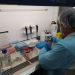 Laboratorio de Biología Molecular del Hospital Regional Coyhaique es capaz de detectar variante Ómicron