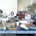 Oficialismo se anota triunfo al dejar fuera figuras de “conservación” y “preservación” en proyecto de protección de glaciares
