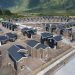 Compromiso Vivienda posibilitó la construcción de 470 viviendas gracias al convenio entre Bienes Nacionales y MINVU