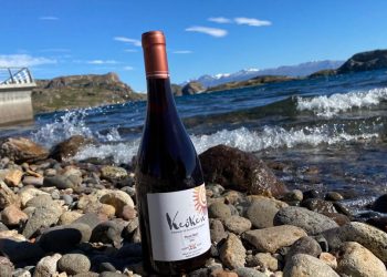 Expertos del mundo vitivinícola nacional se reúnen para conocer Keóken, el vino más austral del mundo