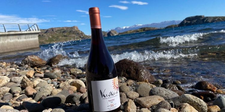 Expertos del mundo vitivinícola nacional se reúnen para conocer Keóken, el vino más austral del mundo
