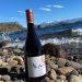 Expertos del mundo vitivinícola nacional se reúnen para conocer Keóken, el vino más austral del mundo