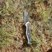 Carabineros detuvo a sujeto por porte de arma blanca en sector central de Coyhaique