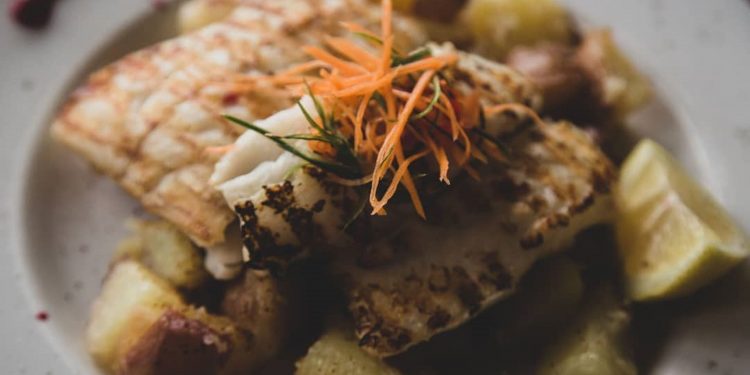 Plataforma web busca transformarse en el medio oficial de la gastronomía en Aysén