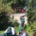 En la ciudad de Coyhaique SAG inicia instalación de trampas para monitorear presencia de polilla de la vid