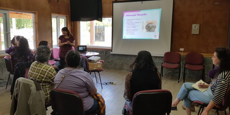 Convocan en Guadal a segundo taller de tenencia responsable enfocado al cuidado de las mascotas