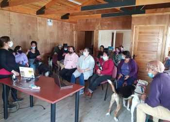 En Puerto Guadal continúan talleres de tenencia responsable de mascotas