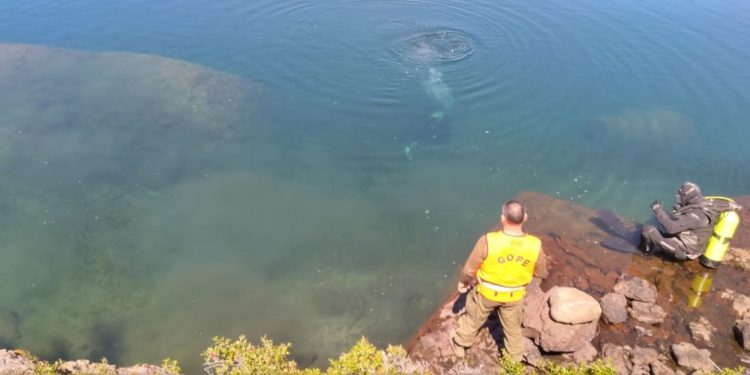 Carabineros del GOPE Aysén rescató en lago Las Ardillas cuerpo sin vida de joven tras denuncia por presunta desgracia