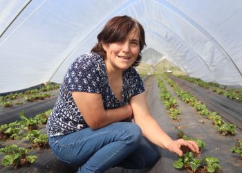 Fruticultura regional y el aporte de INDAP:  Avances en diversificación productiva y alcance territorial