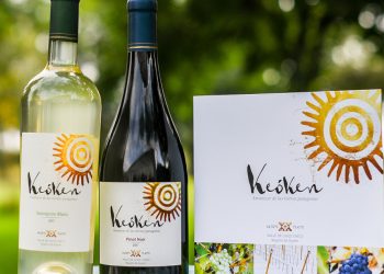 Expertos del mundo vitivinícola nacional se reúnen para conocer Keóken, el vino más austral del mundo