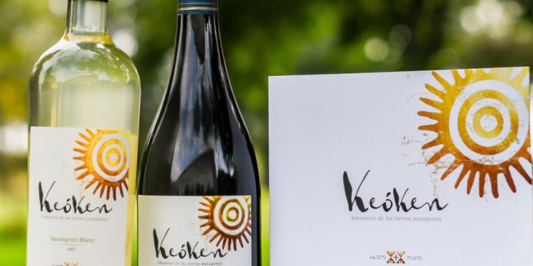 Expertos del mundo vitivinícola nacional se reúnen para conocer Keóken, el vino más austral del mundo