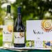 Expertos del mundo vitivinícola nacional se reúnen para conocer Keóken, el vino más austral del mundo
