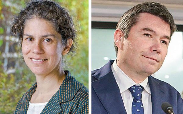 El inminente “choque” entre expertos ambientales por el plazo máximo para que Chile alcance la carbono neutralidad