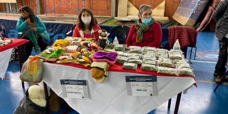 SernamEG invita a postular al Programa Mujer Emprende