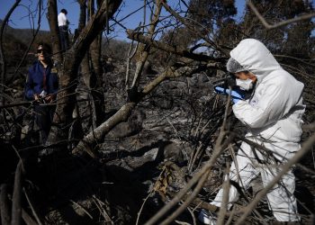 PDI y Fiscalía inician investigación por fogata no autorizada en Parque Nacional Queulat