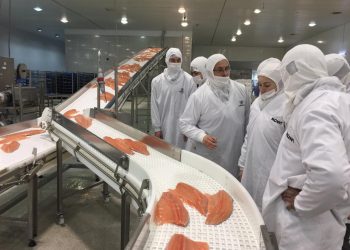 Barómetro de la Salmonicultura y resultados COVID-19: Estudio arroja aprendizajes tras la pandemia