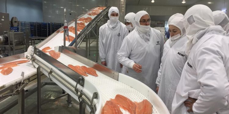 Barómetro de la Salmonicultura y resultados COVID-19: Estudio arroja aprendizajes tras la pandemia