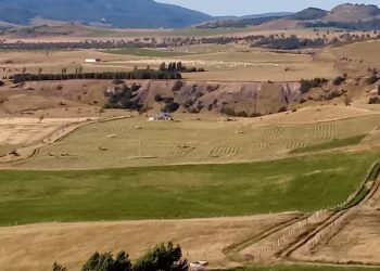 Recuperación de suelos agropecuarios e instrumentos de INDAP: El punto de inicio para una mayor productividad rural en Aysén.