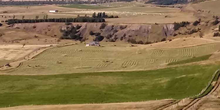 Recuperación de suelos agropecuarios e instrumentos de INDAP: El punto de inicio para una mayor productividad rural en Aysén.