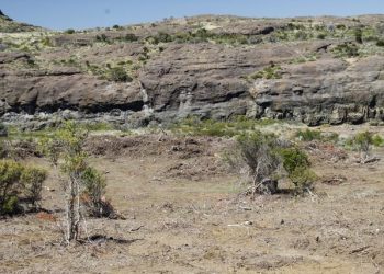 SAG Aysén recuerda postular al concurso del Sistema de Incentivos para la Sustentabilidad Agroambiental de los Suelos Agropecuarios.