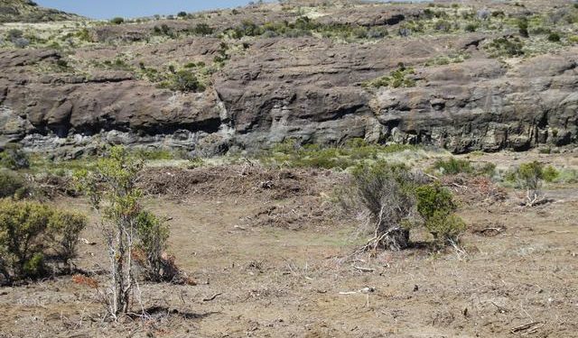 SAG Aysén recuerda postular al concurso del Sistema de Incentivos para la Sustentabilidad Agroambiental de los Suelos Agropecuarios.