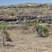 SAG Aysén recuerda postular al concurso del Sistema de Incentivos para la Sustentabilidad Agroambiental de los Suelos Agropecuarios.