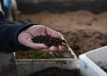 Municipio de Aysén constata en terreno procesos ambientales del relleno sanitario con miras a una alianza estratégica para Puerto Aysén.