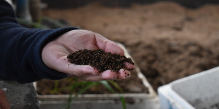 Municipio de Aysén constata en terreno procesos ambientales del relleno sanitario con miras a una alianza estratégica para Puerto Aysén.
