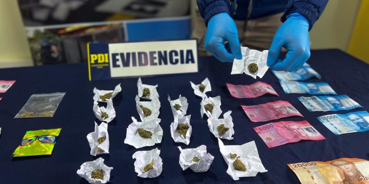 PDI detiene a mujer por microtráfico en Puerto Aysén decomisando droga avaluada en aproximadamente 500 mil pesos.