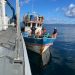 En patrullajes preventivos Armada y Sernapesca detectan  pesca ilegal en naves provenientes de Calbuco.