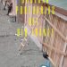 Bajo Cero Stop Motion estrena nuevo corto animado.
