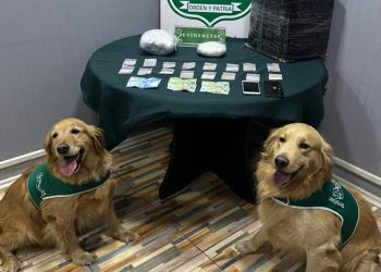 Carabineros y Fiscalía detienen a imputado por tráfico y decomisan diferentes tipo de drogas avaluadas en más de 10 millones de pesos
