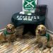 Carabineros y Fiscalía detienen a imputado por tráfico y decomisan diferentes tipo de drogas avaluadas en más de 10 millones de pesos