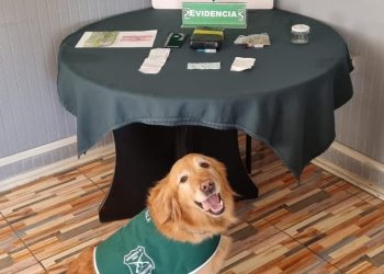 Nuevo decomiso de droga a pasajero de barcaza en Puerto Cisnes.