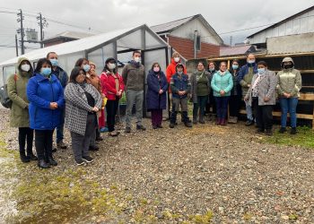 En Puerto Aysén agrupación de mujeres «Las Maravillas» trabajan en huerto piloto comunitario y sustentable.
