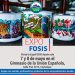 Fin de semana previo al día de la Madre se instalará Expo Fosis en gimnasio de la Unión Española de Coyhaique.