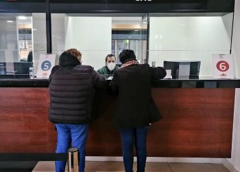 SAG Aysén recuerda requisitos para viajar con mascotas a Argentina.